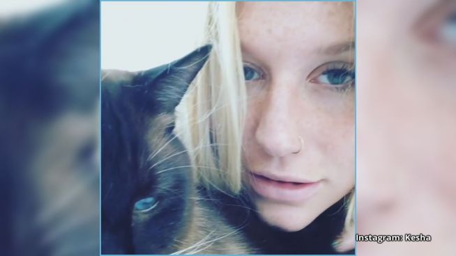 Echte Freunde: Taylor schenkt Kesha 250.000 Dollar